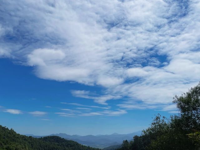 2. 解鎖白江湖森林公園，這些打卡點不容錯過！
