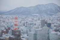 札幌冬日仙境8天7夜深度遊攻略，探尋北海道的絕美風光