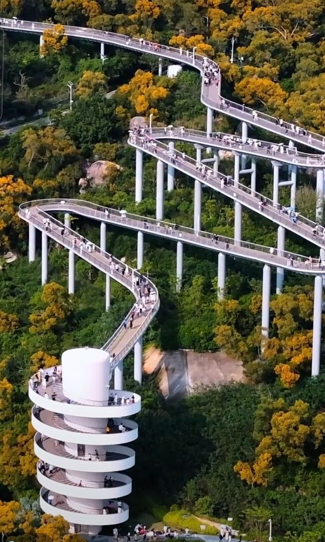 高山水庫變成了湖·高空步道美景盡收