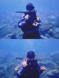 跟着我上天下海：蘭卡威潛水