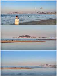 夢幻般的粉色沙灘·海鷗在落日餘暉下翩翩起舞