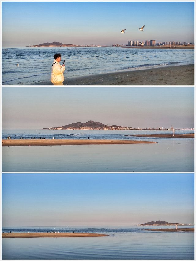 夢幻般的粉色沙灘·海鷗在落日餘暉下翩翩起舞