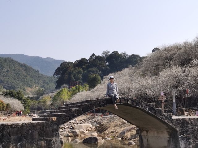 冬日汕尾必打卡點——螺洞世外梅園