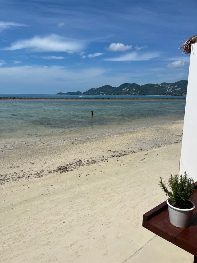 查汶麗晶海灘度假村——蘇梅島中心的絕佳住宿   地址：155 / 4 Chaweng Beach 