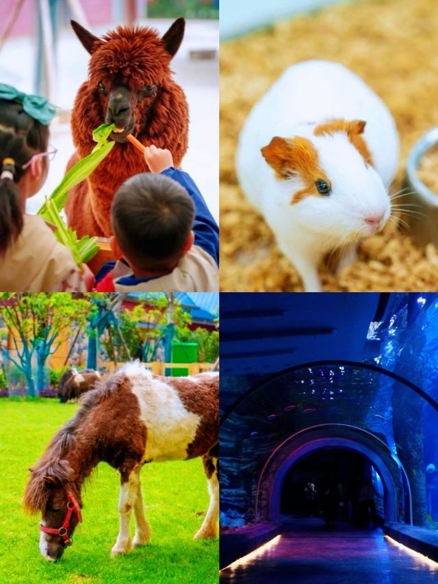春節遊襄陽，奇幻度假區全攻略
