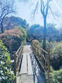 上海這個公園也太好逛了-桂林公園記