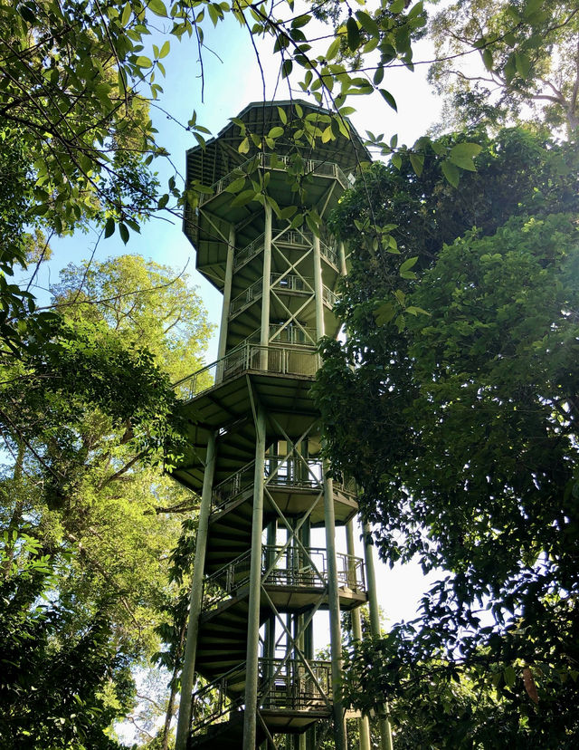 自然探險家的樂園｜山打根雨林探索中心