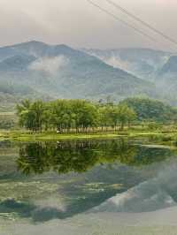 重慶北碚柏林村