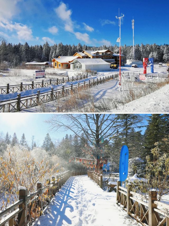太好啦！係吉林！藏喺林海雪原嘅童話木屋