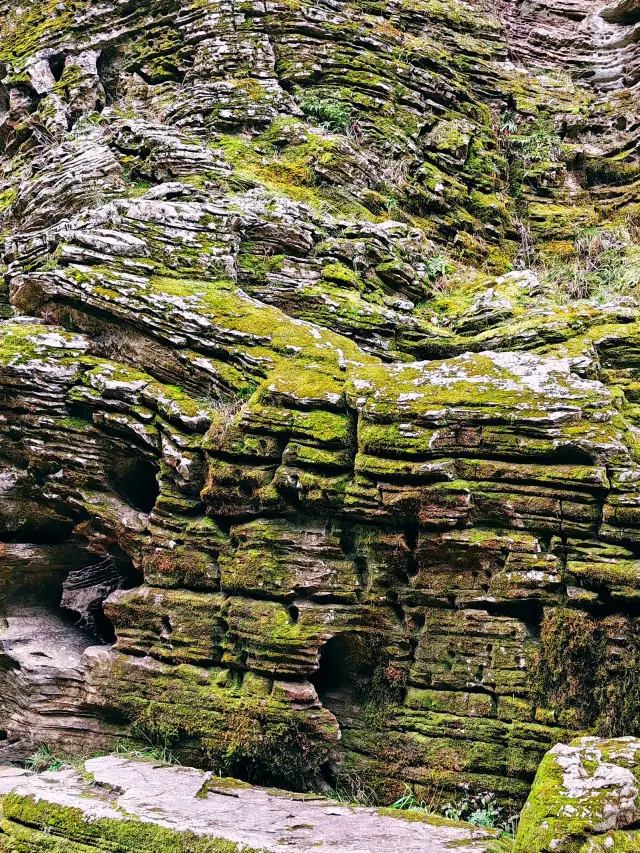 은시 토가족 묘족 자치주 5일｜여행 가이드