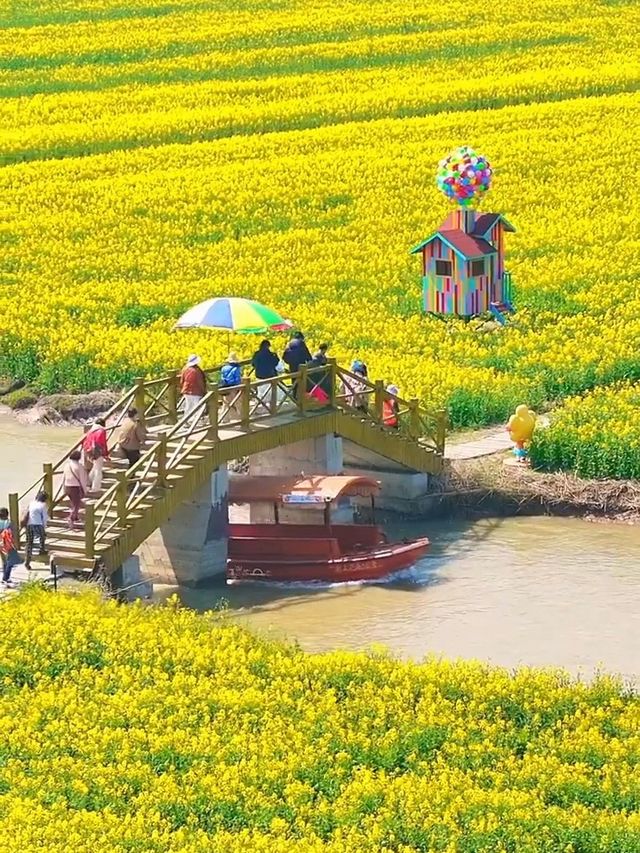 春天的高郵真是人間理想之地呀