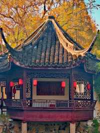 滬上藏古園，驚艷不遜姑蘇！