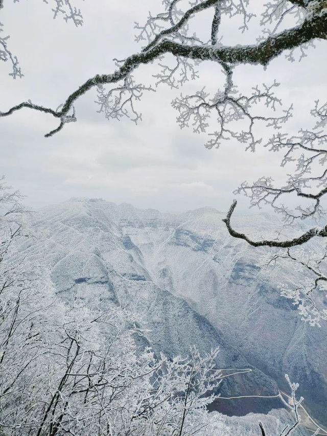 驚爆！龍頭山的美景，竟讓遊客不願返程