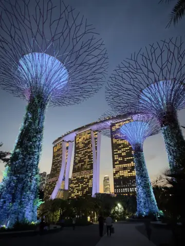 SG超級樹燈光秀:夜幕下的奇幻森林🌌🌳✨