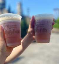 Orlando Universal Studios One-Day Two-Park Guide (Without Express Pass)