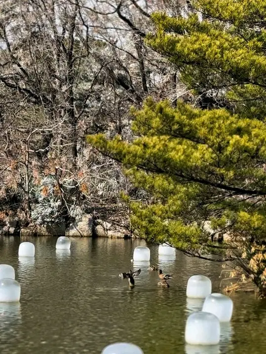 遊客必看!長居公園深度遊覽攻略