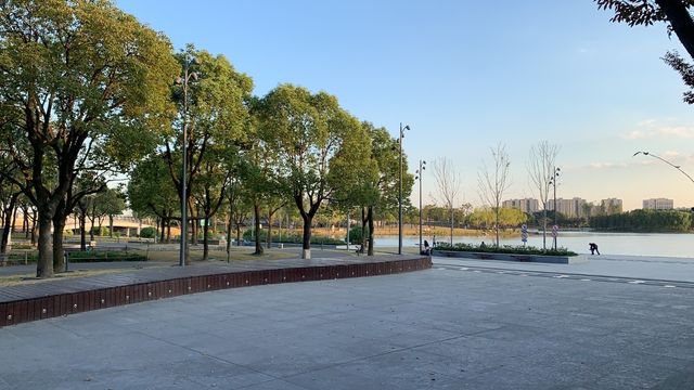 上海嘉定週末遊：湖光與藝術的浪漫邂逅
