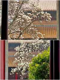 南京朝天宮旅遊攻略