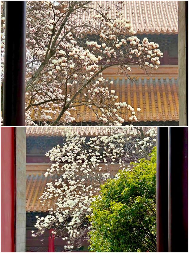 南京朝天宮旅遊攻略