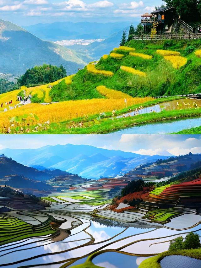 雲和梯田，隱藏在山間的夢幻田園