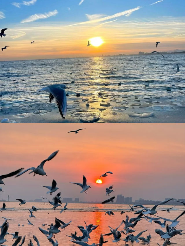 北京後花園——秦皇島
