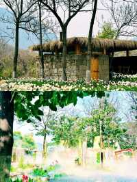 河南寶泉藏秘境，我竟邂逅了這樣的「綠野仙蹤」？