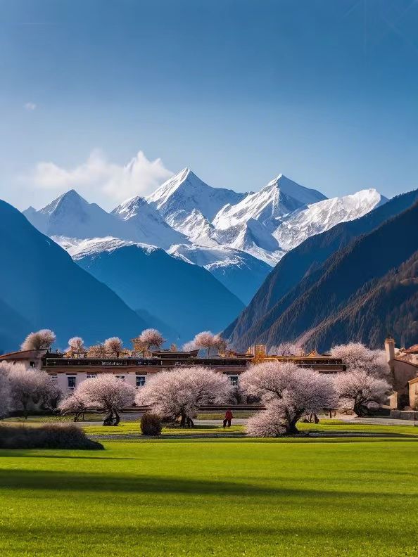 3-4月林芝旅行必看：邂逅雪域桃花的浪漫