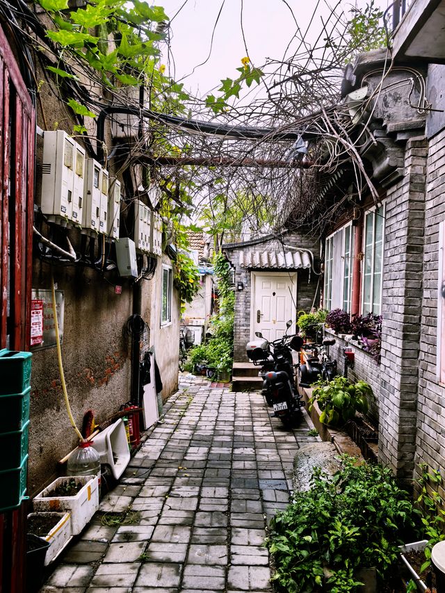 跟著北京老街坊遊覽胡同，西城小絨線胡同