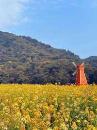 石門森林公園 | 周末吸氧好去處，爽麻了