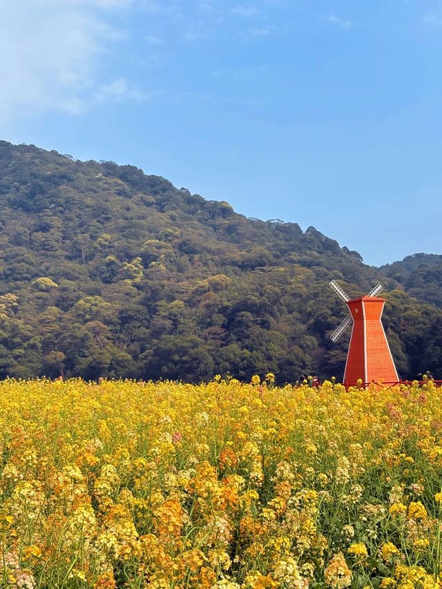 石門森林公園 | 周末吸氧好去處，爽麻了