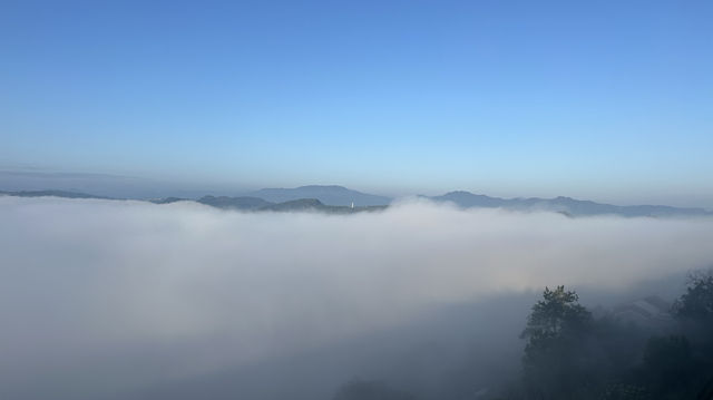 新昌民宿 ▏雲海間的覓境居所獨享270度窗景