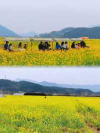我在武夷上春山｜3月踏青、賞花、品茗全攻略