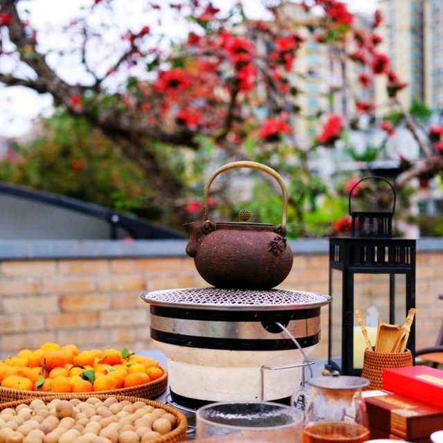 春日聚會，共賞木棉