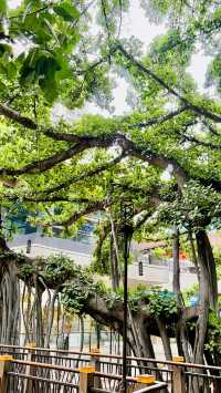 夏威夷旅行日記 8：威基基國際市場購物中心完全攻略