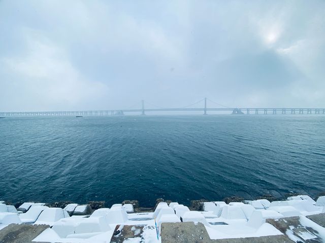 【冬日星海漫遊記：邂逅北緯39°的藍調浪漫】