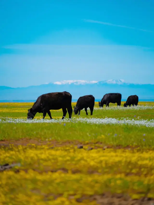 12-Day In-Depth South Africa Tour: A Super Detailed Guide to Avoid Tourist Traps