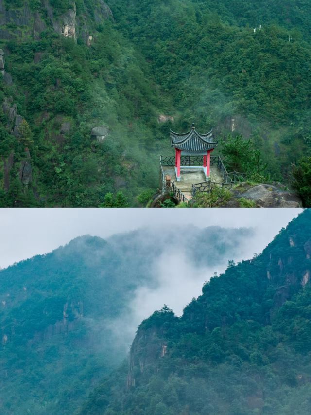 後悔太遲發現！麗水竟然藏着這樣一處小眾秘境