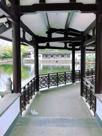 無錫蠡園春日櫻花賞花全攻略