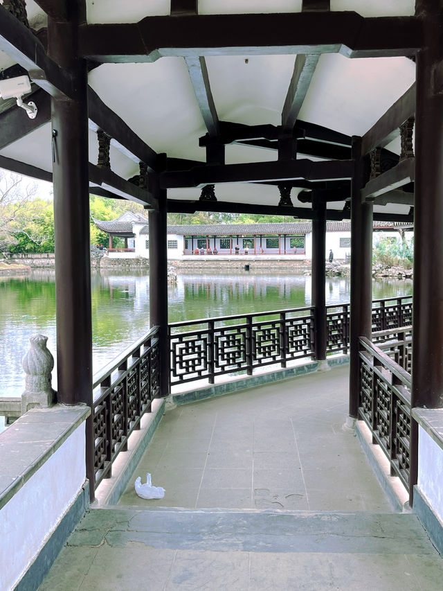 無錫蠡園春日櫻花賞花全攻略 無錫蠡園春日櫻花賞花全攻略