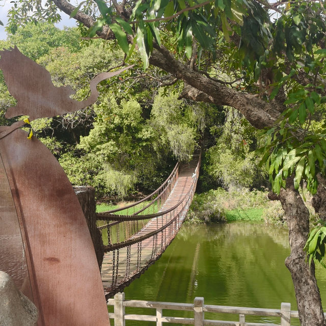🚶‍♂️【羅湖新玩法！東湖公園郊野徑】  