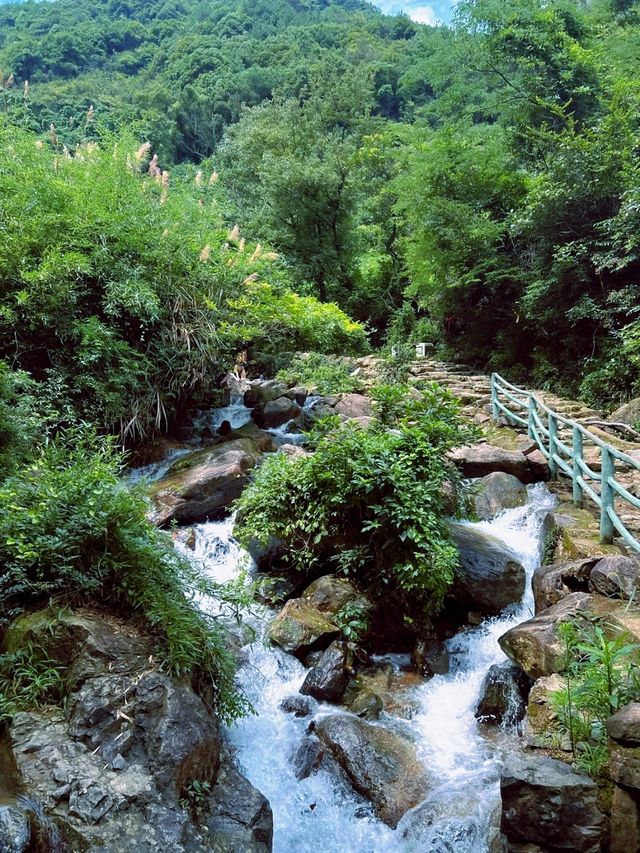 探秘「寧波小里約」栲栳山，解鎖絕美徒步路線