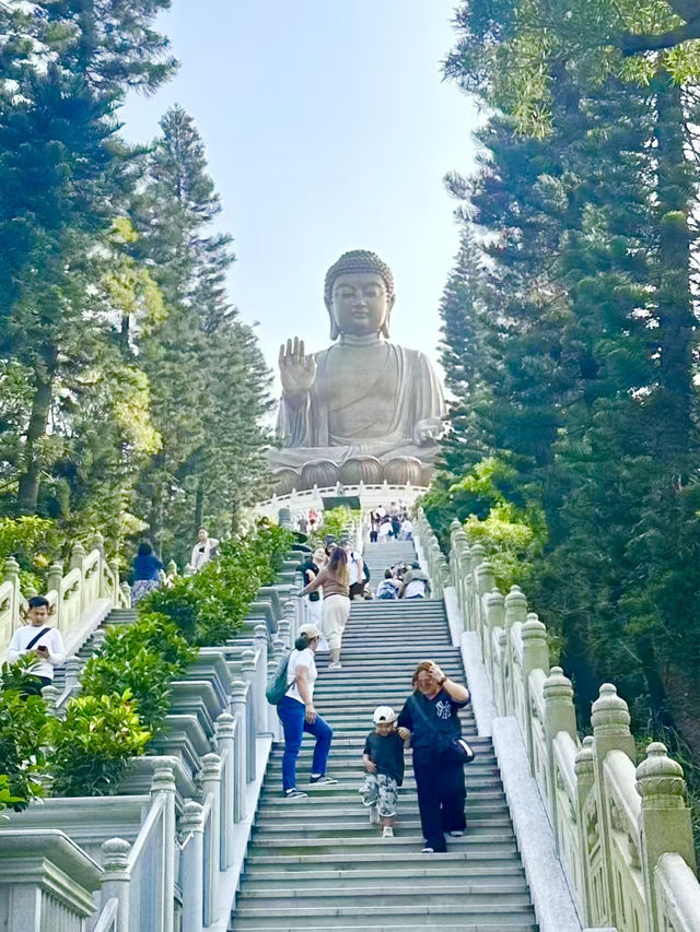 Sky-High Serenity, Sacred Stairways and Mountaintop Views in Hong Kong 