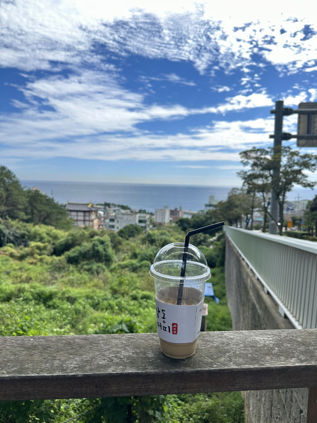 🌸首爾林賞櫻攻略：漫步粉色花海的浪漫之旅💕