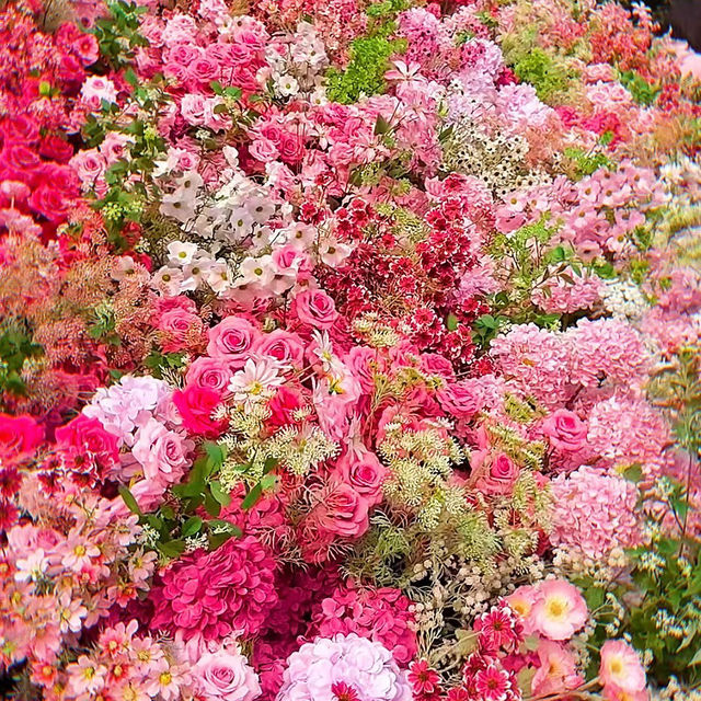 怒衝！深圳的春日浪漫，藏在荷蘭花卉小鎮🌸