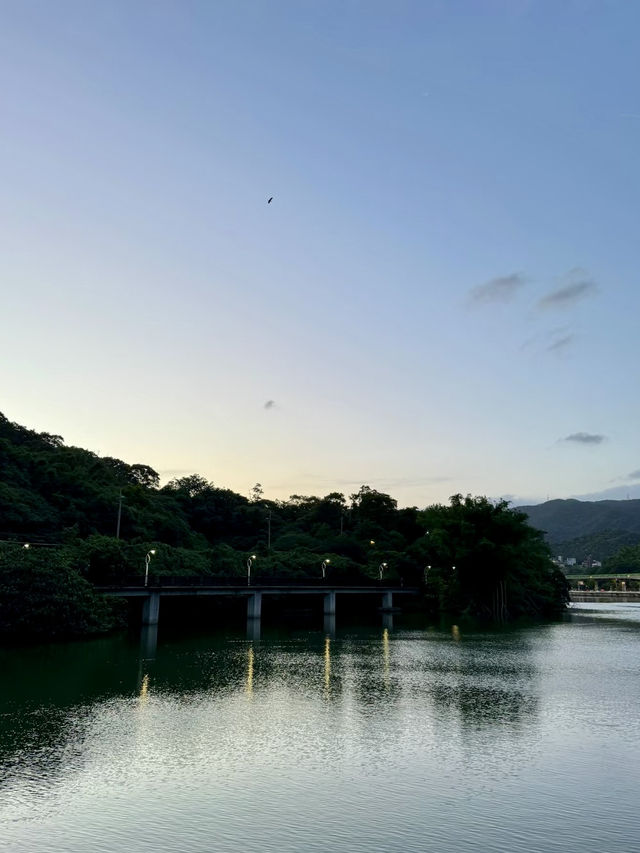 湖光水色：漫步大湖的靜謐詩意