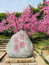 一键重啟·夢回三國名場面    保姆級攻略來啦