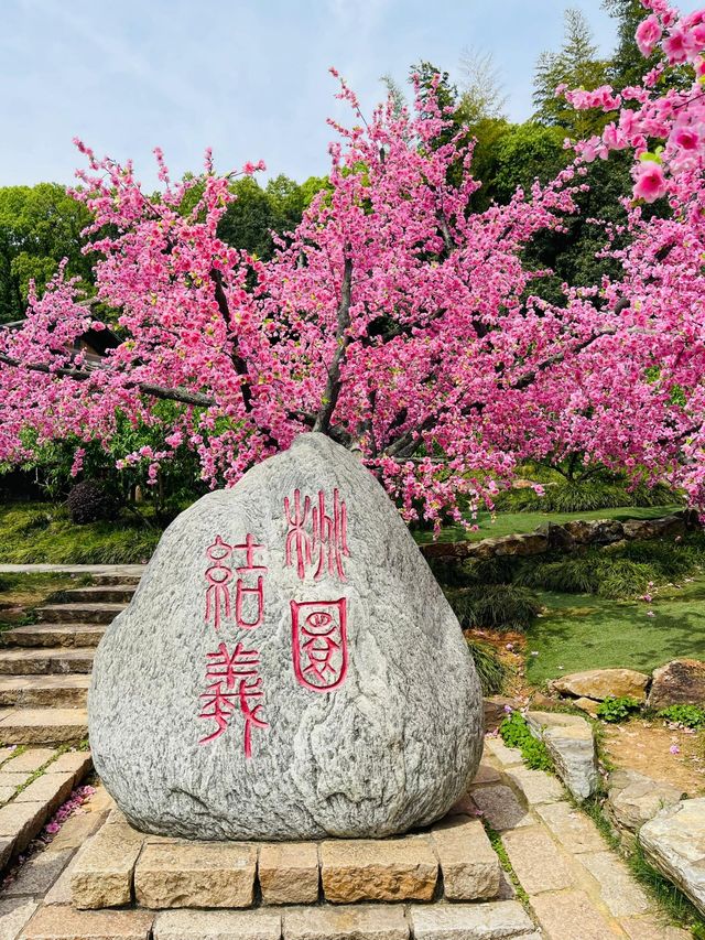 一键重啟·夢回三國名場面    保姆級攻略來啦