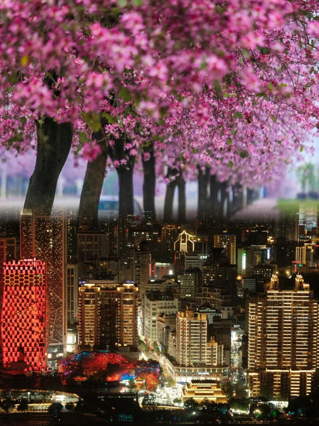 柳州旅遊攻略 | 嗦粉賞景兩不誤，小眾玩法大放送！