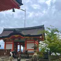 일본의 옛수도인 교토 일본 전통 명소 위주 당일치기 코스🏯