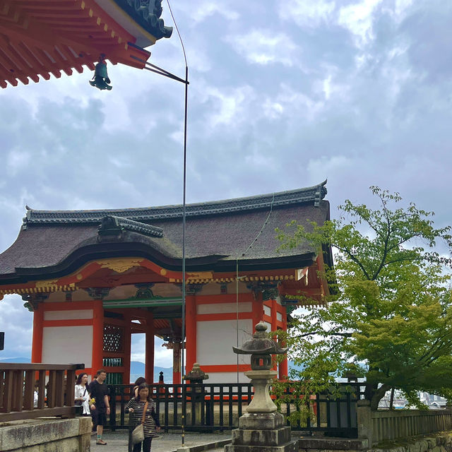 일본의 옛수도인 교토 일본 전통 명소 위주 당일치기 코스🏯